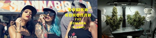 первитин Белокуриха