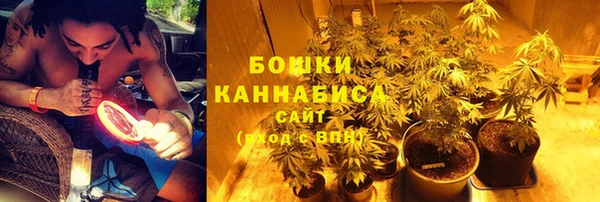 первитин Белокуриха