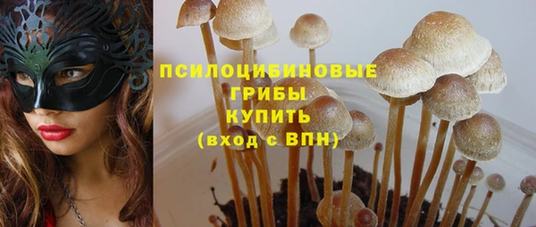 первитин Белокуриха