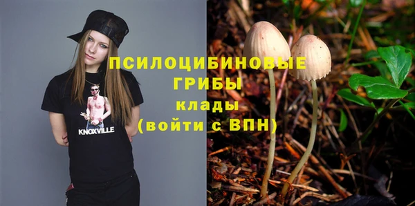 spice Белоозёрский